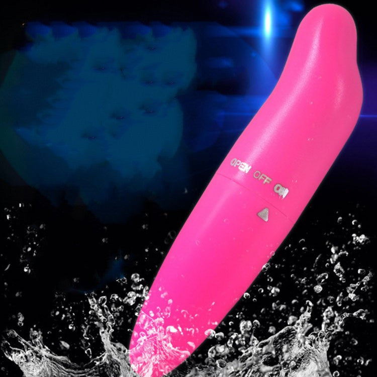 Dolphin Vibrator Mini Masturbator Silent Vibrator Massage Stick Sex Toys